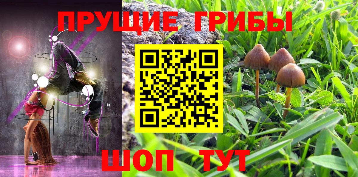 Псилоцибиновые грибы MAGIC MUSHROOMS Новошахтинск
